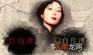 张爱玲的红玫瑰与白玫瑰经典语句 张爱玲的红玫瑰与白玫瑰经典语句分享