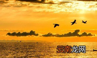 落霞与孤鹜齐飞秋水共长天一色意思 这句话的意思及赏析介绍