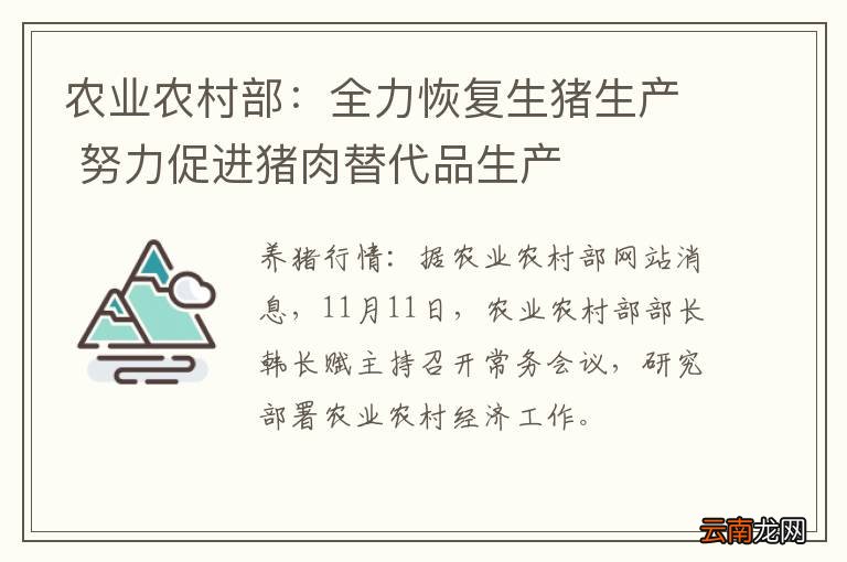 农业农村部：全力恢复生猪生产 努力促进猪肉替代品生产