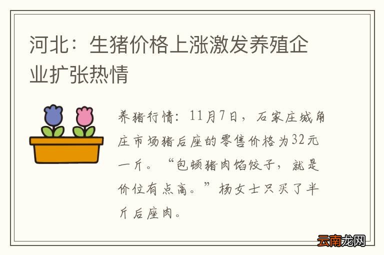 河北：生猪价格上涨激发养殖企业扩张热情