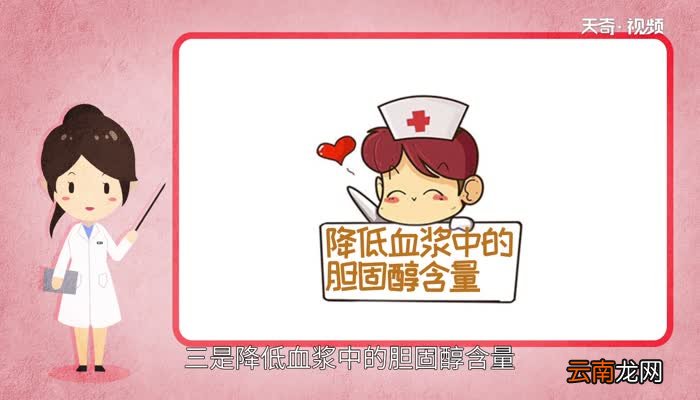 粗纤维食物有哪些粗纤维食物包括哪些