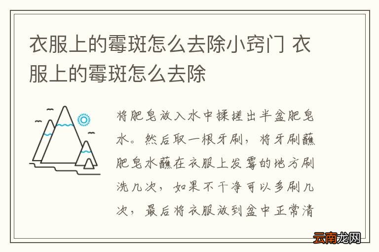 衣服上的霉斑怎么去除小窍门 衣服上的霉斑怎么去除