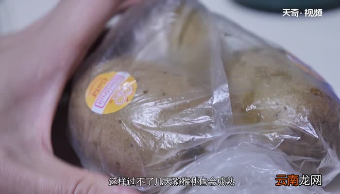 猕猴桃怎么催熟 怎么催熟猕猴桃