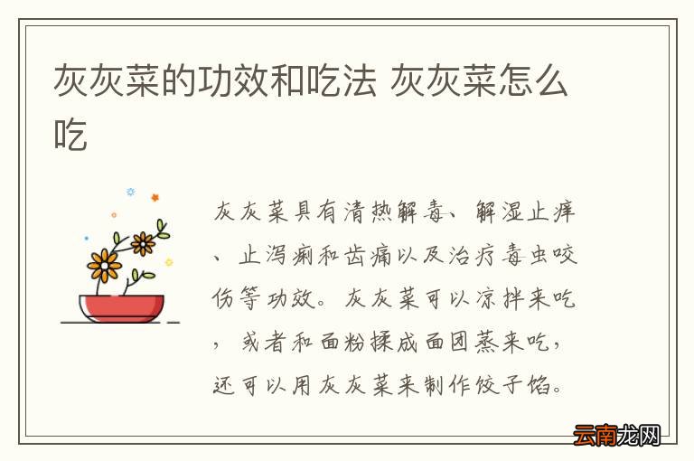 灰灰菜的功效和吃法 灰灰菜怎么吃