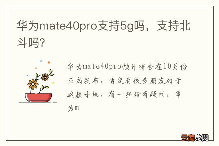 华为mate40pro支持5g吗，支持北斗吗？