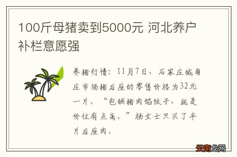 100斤母猪卖到5000元 河北养户补栏意愿强