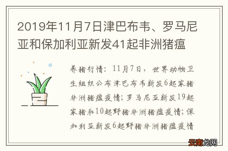 2019年11月7日津巴布韦、罗马尼亚和保加利亚新发41起非洲猪瘟疫