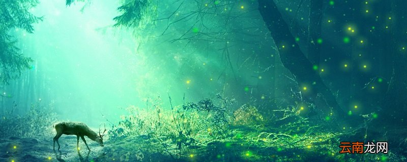 哪种生物的生命力更强 哪种生物的生命力最强