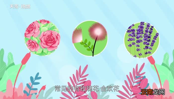 象征爱情的花 古代比喻爱情的植物