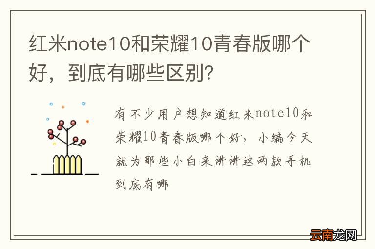 红米note10和荣耀10青春版哪个好，到底有哪些区别？