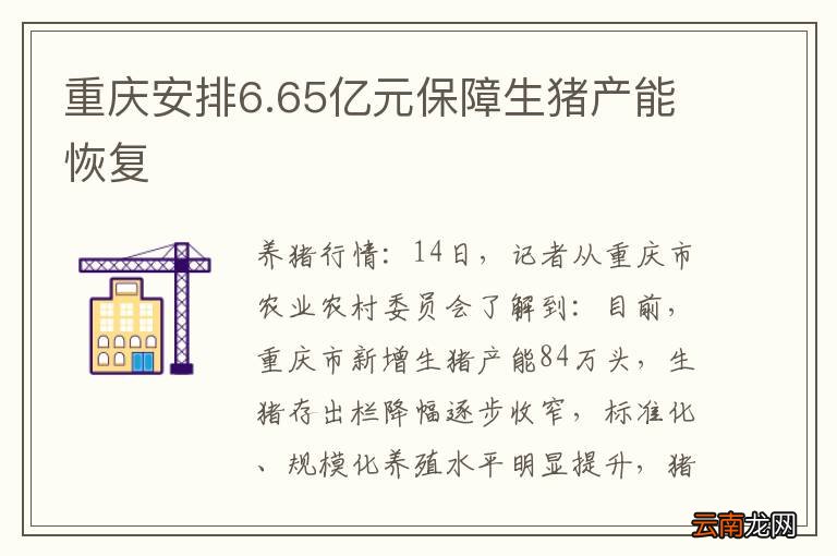 重庆安排6.65亿元保障生猪产能恢复