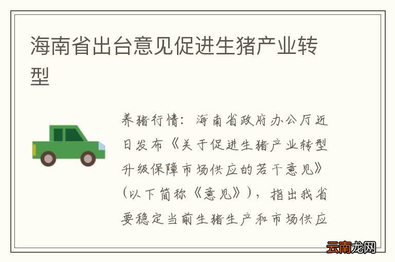 海南省出台意见促进生猪产业转型