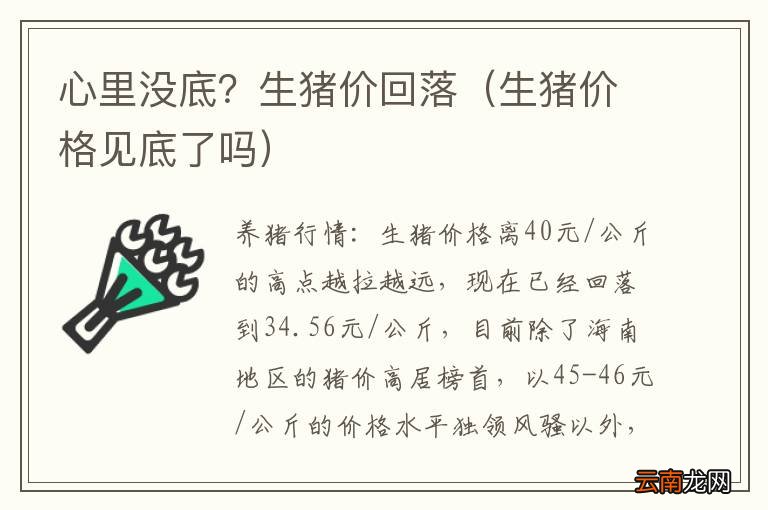 生猪价格见底了吗 心里没底?生猪价回落
