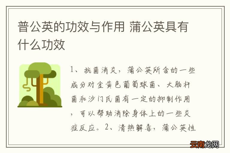 普公英的功效与作用 蒲公英具有什么功效