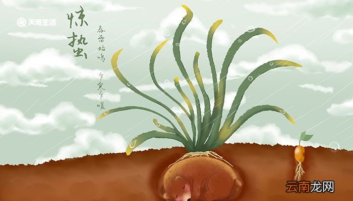 惊蛰节气的特点和风俗 惊蛰节气主要有什么特点