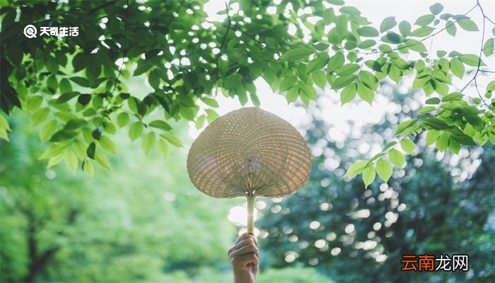 立夏的祝福语简短 关于立夏的简短祝福语