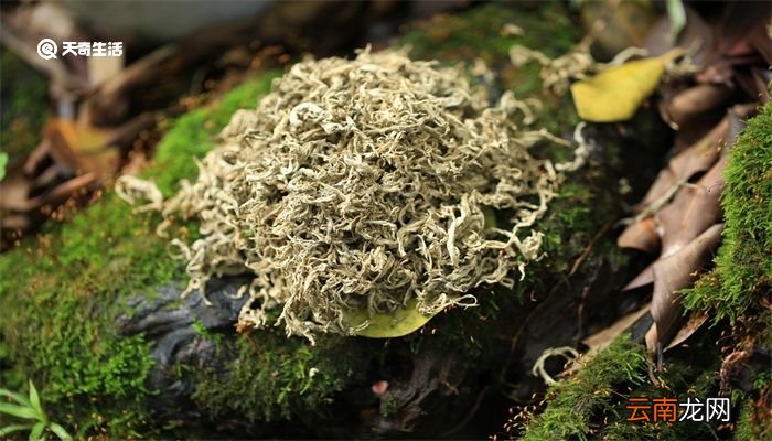 艾草的用法 艾草的用法有哪些
