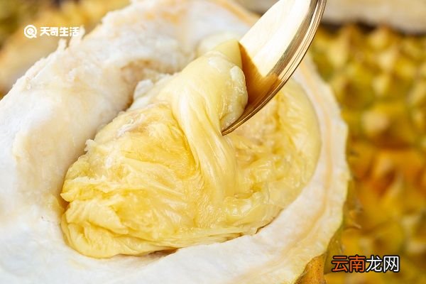 榴莲核炖肉的功效 榴莲炖肉有什么好处
