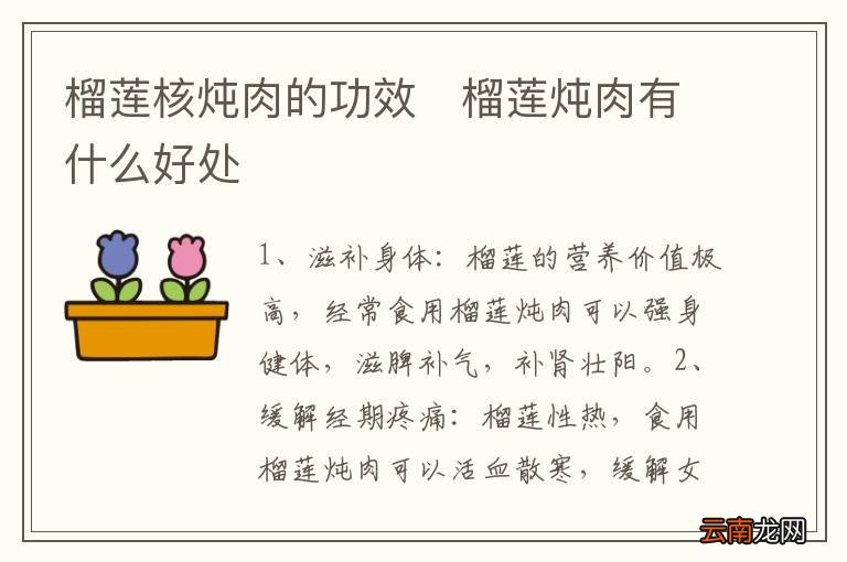 榴莲核炖肉的功效 榴莲炖肉有什么好处