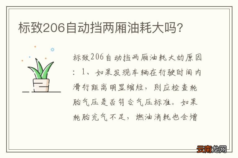 标致206自动挡两厢油耗大吗?