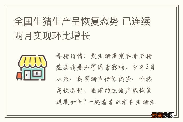 全国生猪生产呈恢复态势 已连续两月实现环比增长