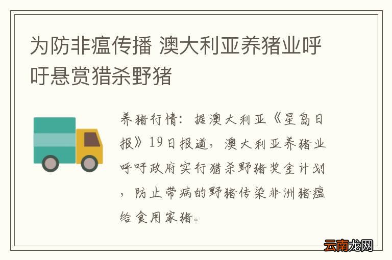为防非瘟传播 澳大利亚养猪业呼吁悬赏猎杀野猪