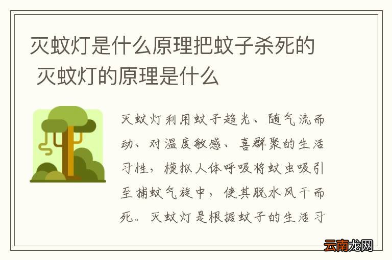 灭蚊灯是什么原理把蚊子杀死的 灭蚊灯的原理是什么