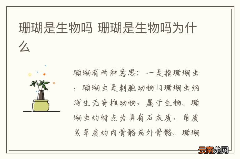 珊瑚是生物吗 珊瑚是生物吗为什么