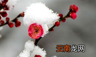 冬日早晨问候语 3句冬日早安问候例句