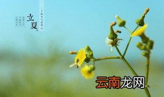 关于立夏节气唯美文 有哪些关于立夏节气的唯美文