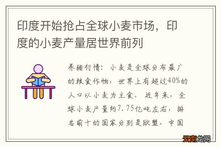 印度开始抢占全球小麦市场，印度的小麦产量居世界前列