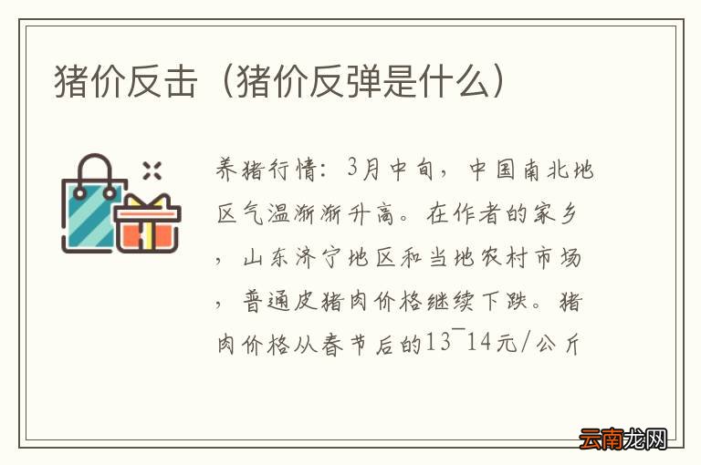 猪价反弹是什么 猪价反击