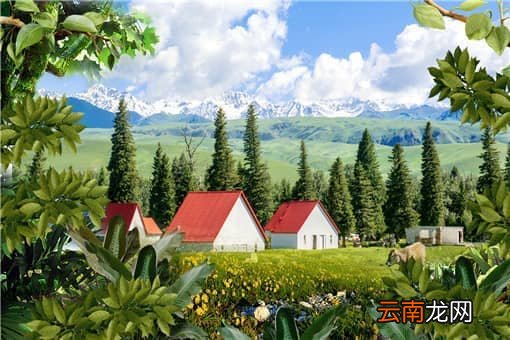 农业发展：未来中国将进入“生态高值农业”时代