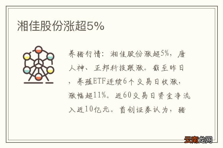 湘佳股份涨超5%