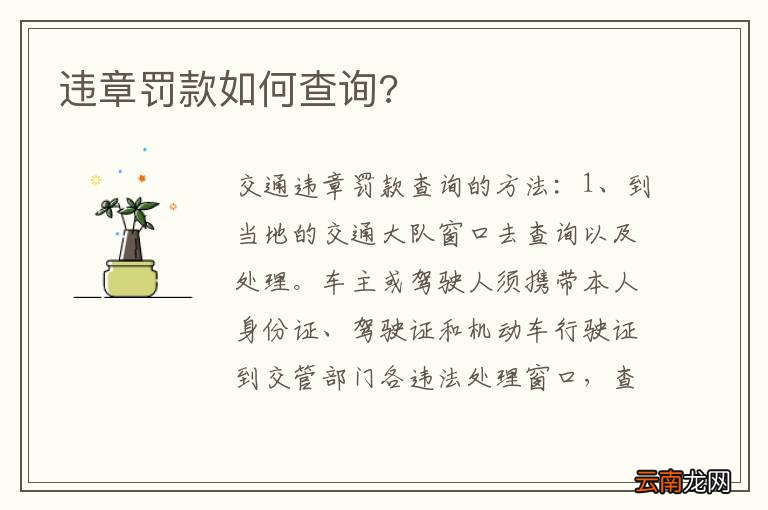 违章罚款如何查询?
