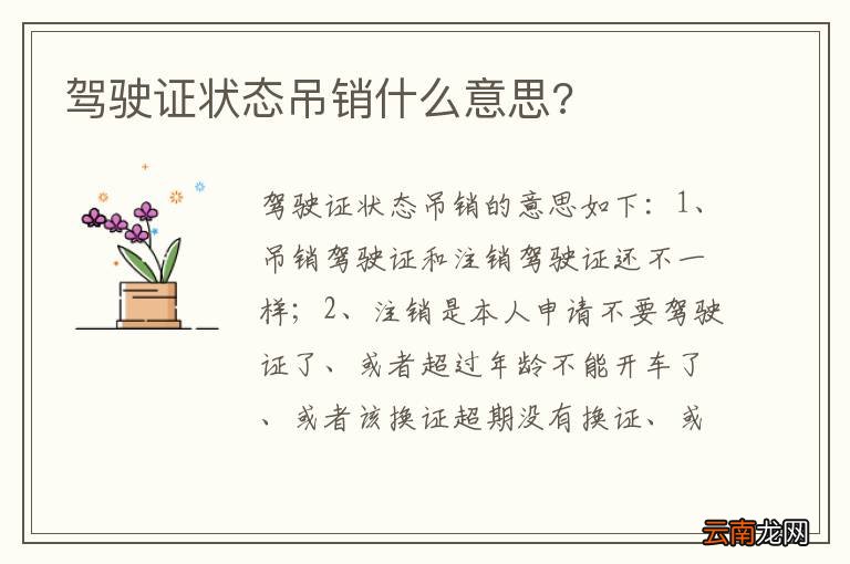 驾驶证状态吊销什么意思?