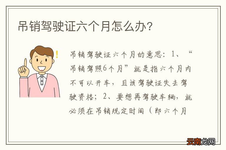 吊销驾驶证六个月怎么办?