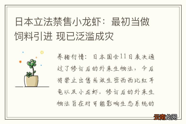 日本立法禁售小龙虾：最初当做饲料引进 现已泛滥成灾