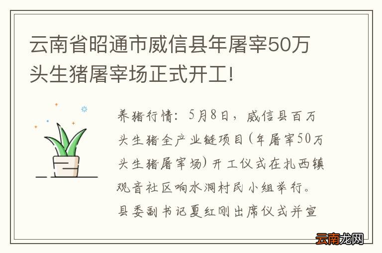 云南省昭通市威信县年屠宰50万头生猪屠宰场正式开工!