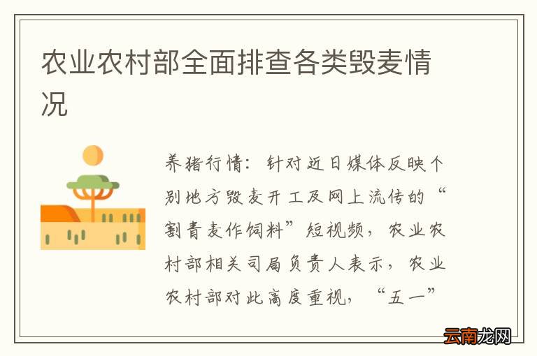 农业农村部全面排查各类毁麦情况