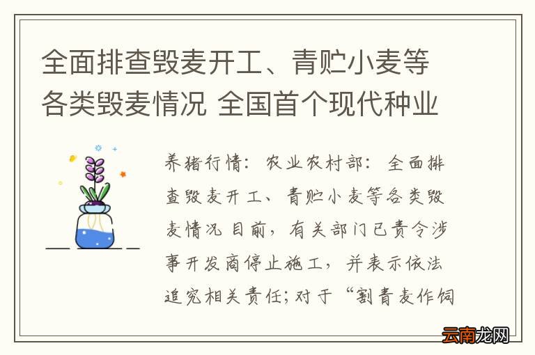 全面排查毁麦开工、青贮小麦等各类毁麦情况 全国首个现代种业创新