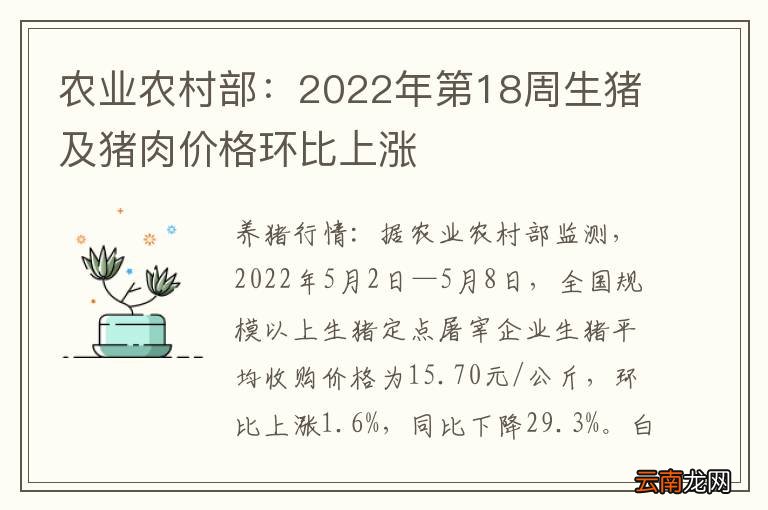 农业农村部：2022年第18周生猪及猪肉价格环比上涨