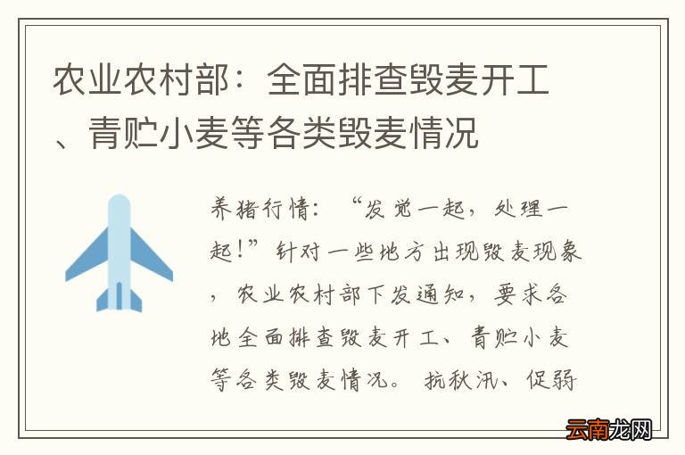 农业农村部：全面排查毁麦开工、青贮小麦等各类毁麦情况