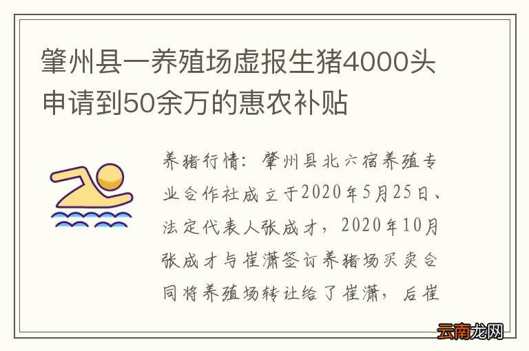 肇州县一养殖场虚报生猪4000头申请到50余万的惠农补贴