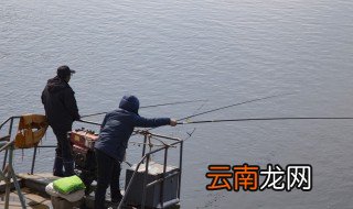 11月如何钓青鱼 初冬如何钓青鱼