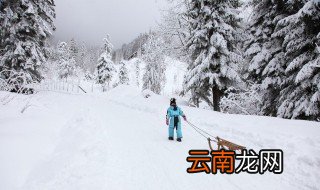 雪的形成原因与作用 雪对庄稼生长有好处吗