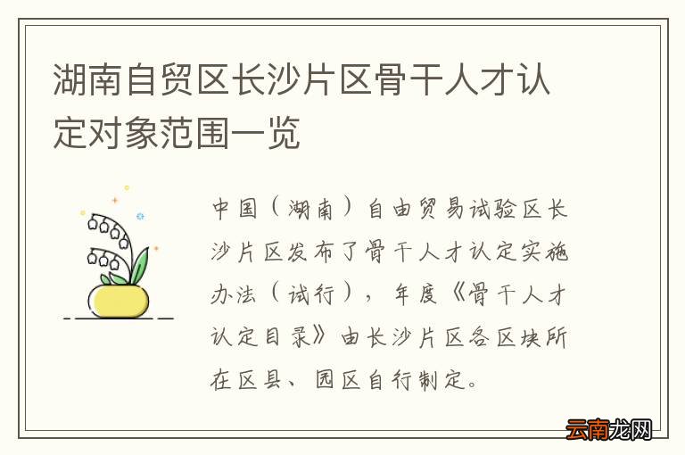 湖南自贸区长沙片区骨干人才认定对象范围一览