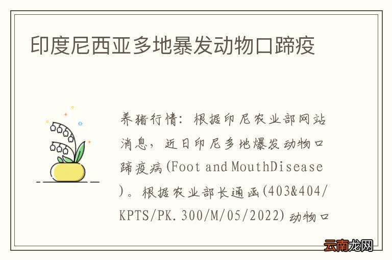 印度尼西亚多地暴发动物口蹄疫