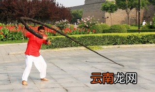 正手响鞭发力技巧 正手响鞭要如何发力