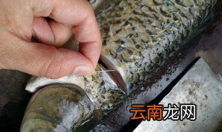 鲈鱼去腥线 鲈鱼如何去腥线